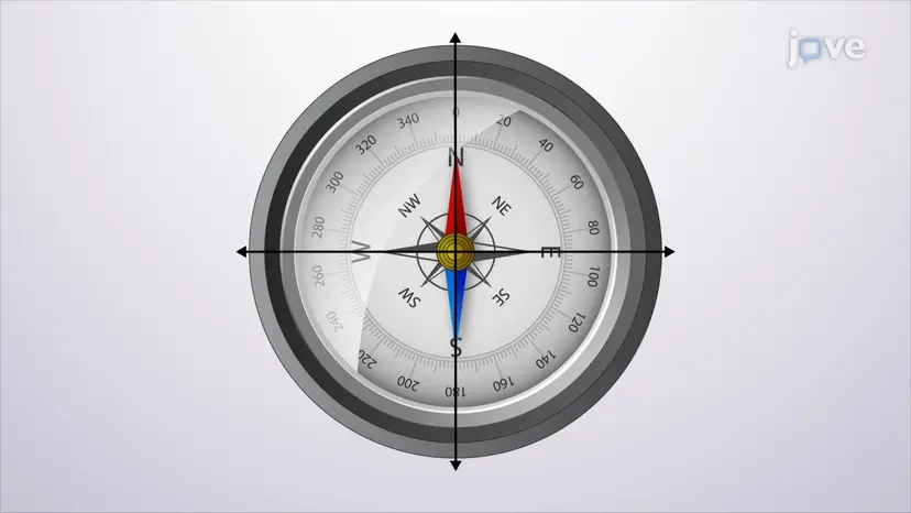 Compass