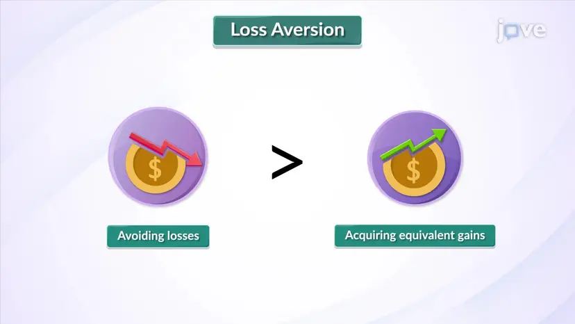 The Concept of Loss Aversion
