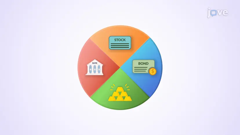 Individual Investor Portfolios