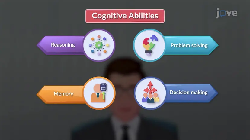 Cognitive Abilities and Financial Decisions