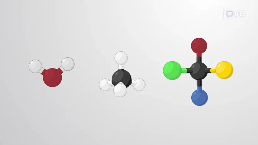 分子の形