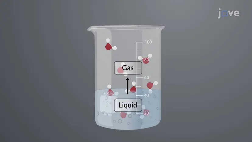 Phase Transitions: Vaporization and Condensation