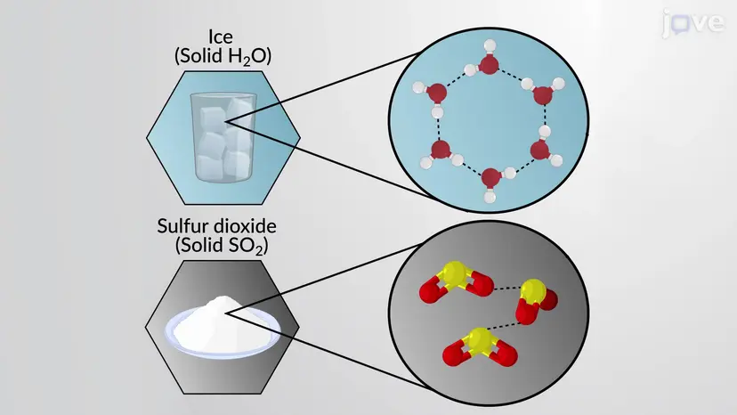 Molecular and Ionic 
Solids