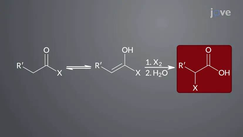 カルボン酸誘導体のα-ハロゲン化:概要