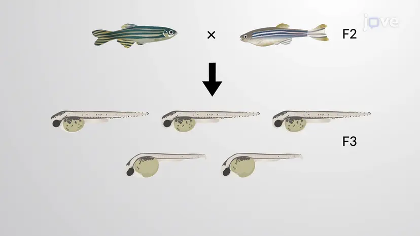Test genetici