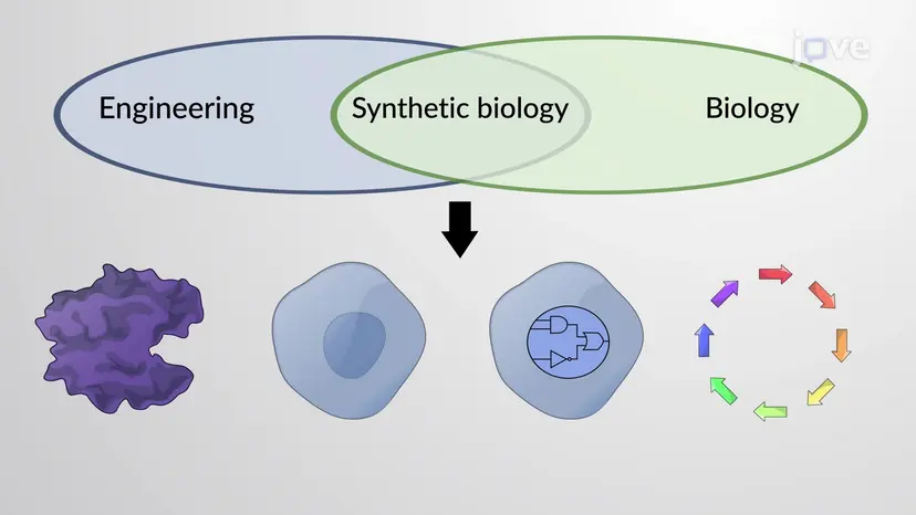 Biologia sintetica