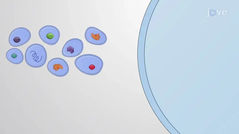 エクソソームの概要