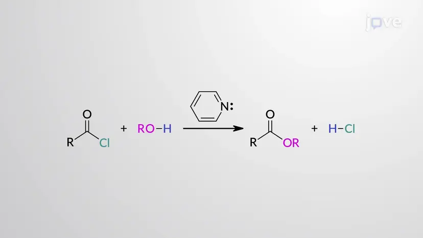 酸性ハロゲン化物からエステルへ:アルコール依存症