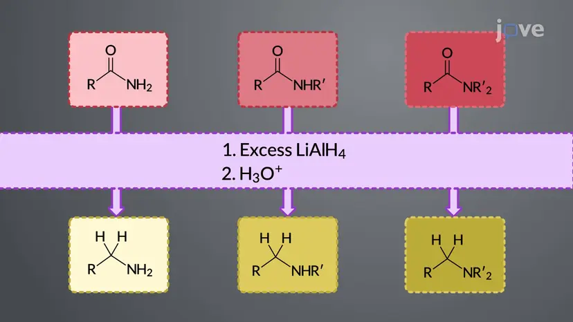 アミドからアミン:LiAlH<sub>4</sub>還元