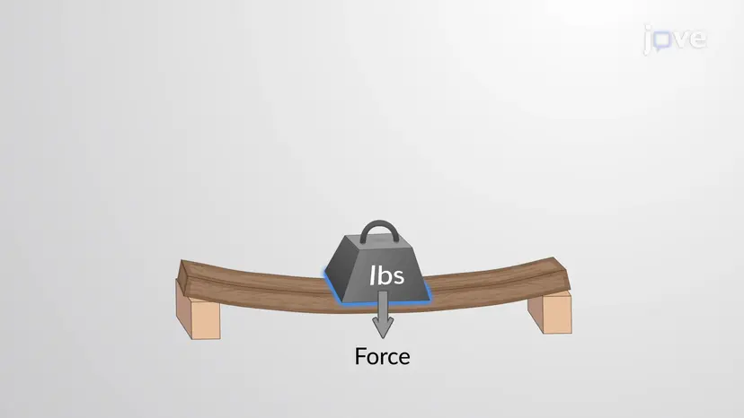 ストレス
