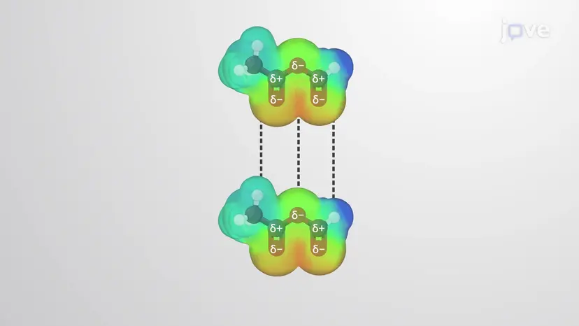 カルボン酸誘導体の物性