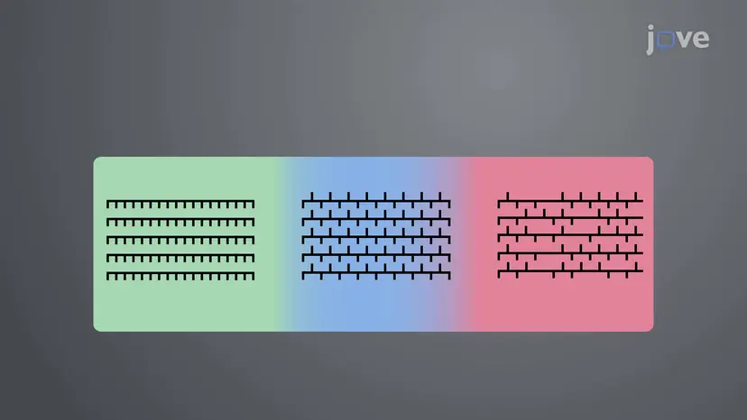 ポリマー分類: 立体特異性