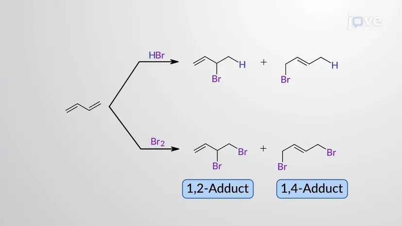 1,3-ブタジエンへのX<sub>2</sub>の求電子1,2-および1,4-付加