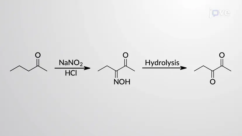 エノールのニトロソ化