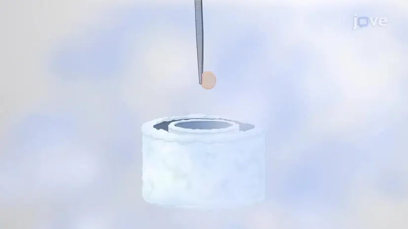 クライオ電子顕微鏡