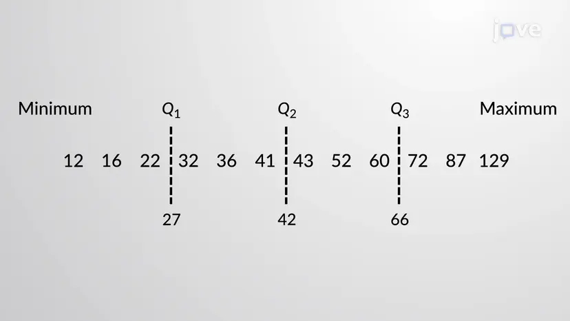 5-数字の概要