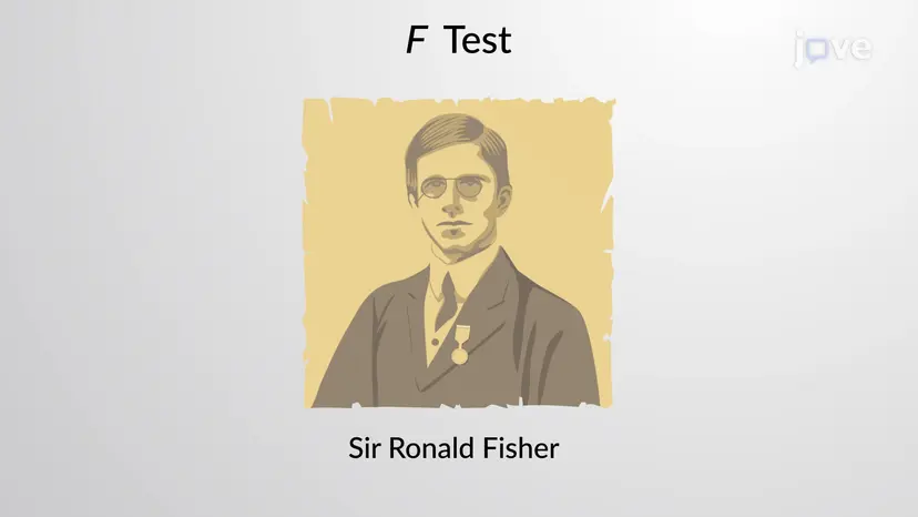 <em>F</em> ディストリビューション