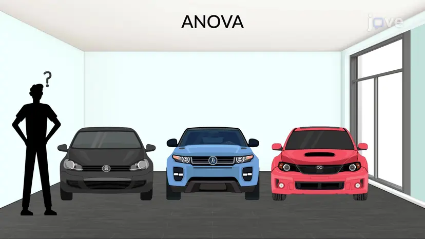 ANOVAとは?