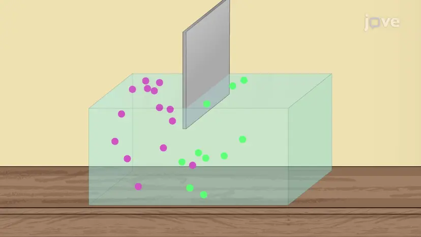 可逆的および不可逆的なプロセス