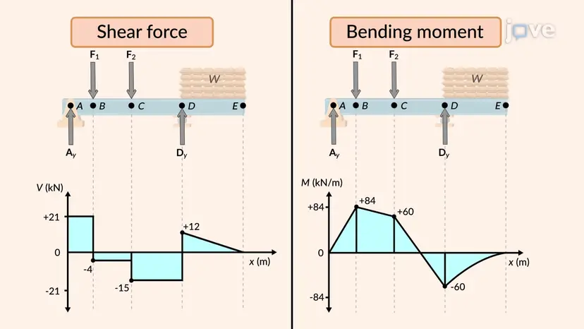 Schub- und Biegemomentdiagramm: Problemlösung