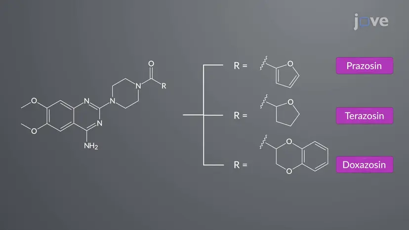 アドレナリン拮抗薬:ɑ受容体拮抗薬の化学と分類