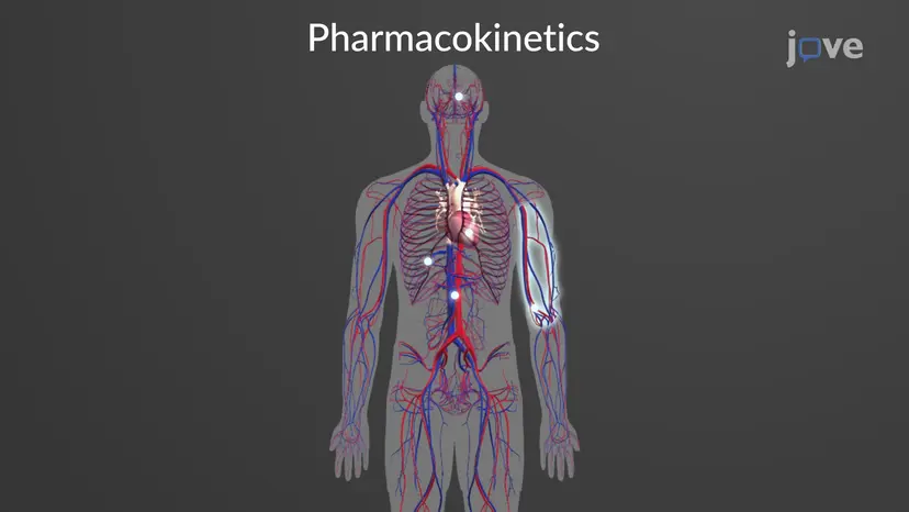 局所麻酔薬:薬物動態