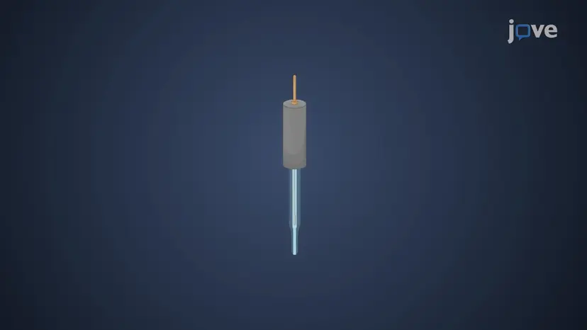電位差測定_電極の種類