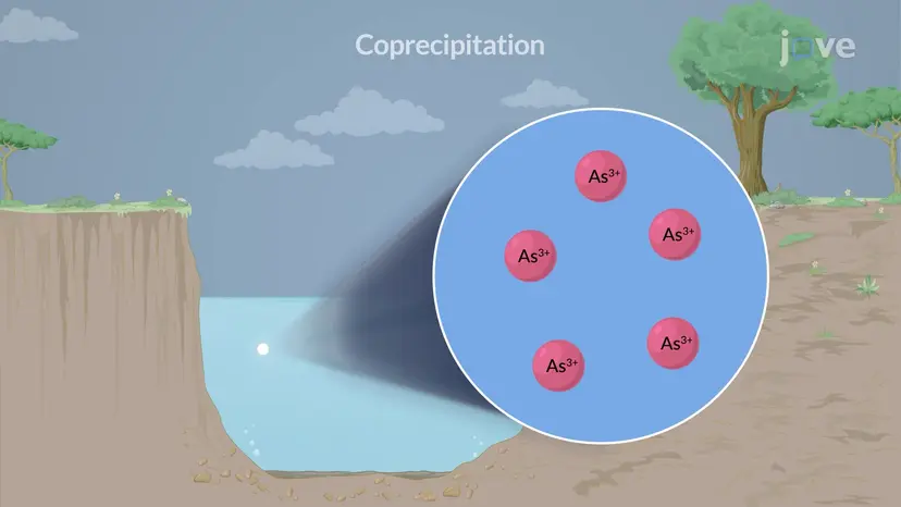 降水量と共降水量