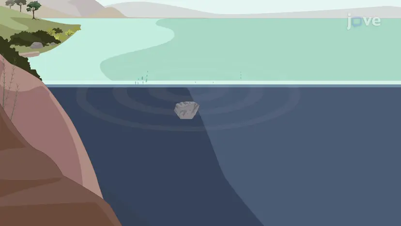 液体中の音速の導出