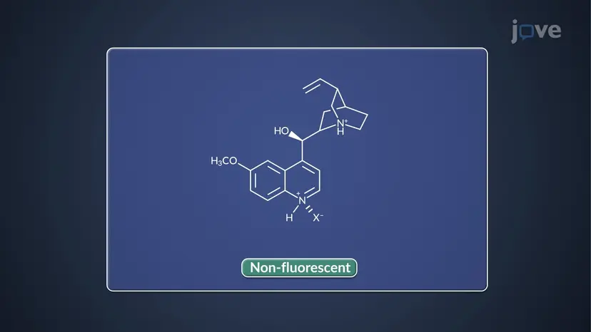 Fotoluminescenza: applicazioni