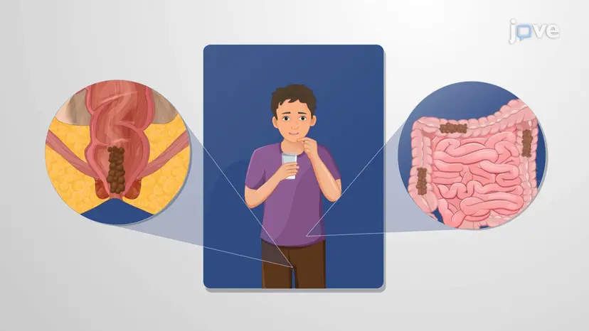 消化管運動に影響を及ぼす薬剤：下痢止め薬としてのオピオイド