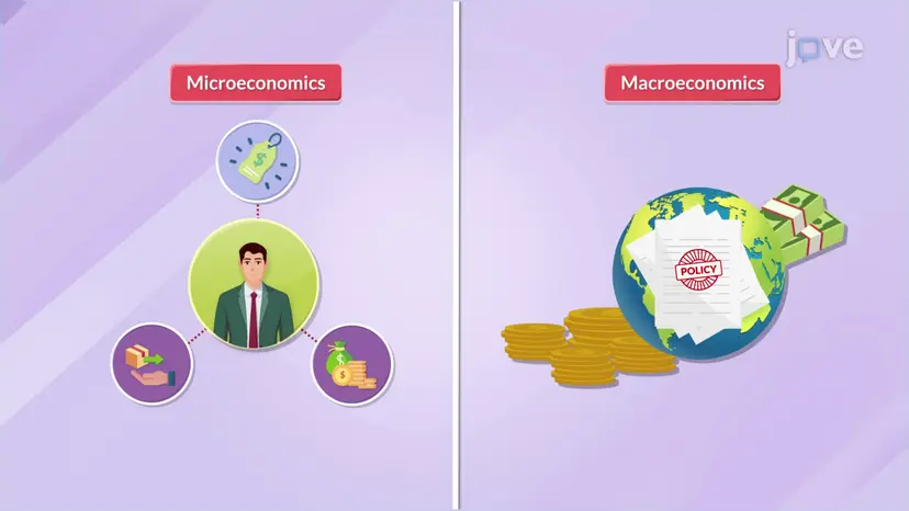 ミクロ vs マクロ