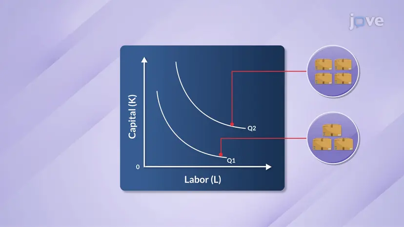 Isoquantsの特徴