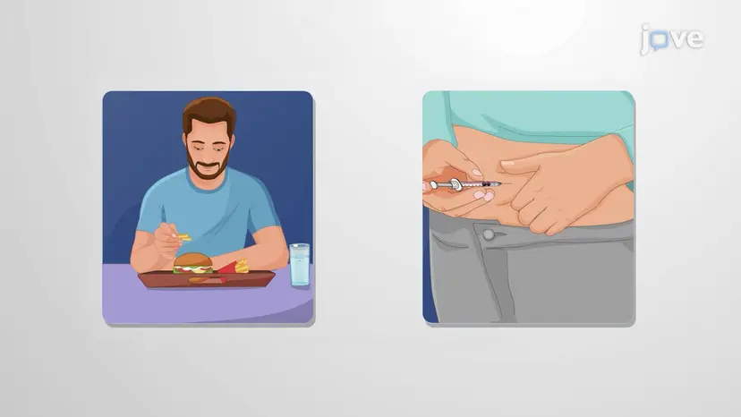 糖尿病：管理と薬物療法