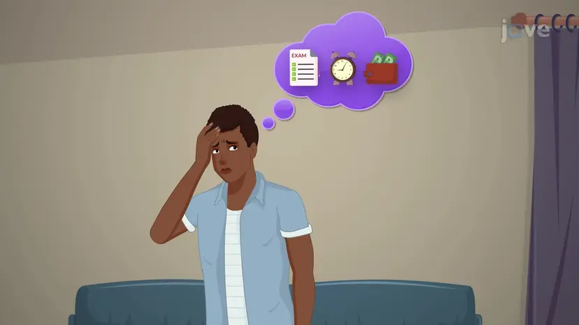 Lazarus's Cognitive Appraisal Theory