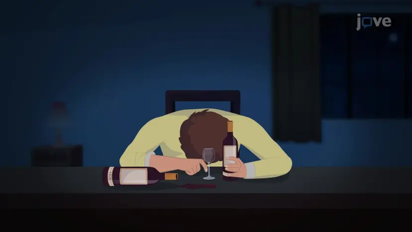 Stress Prevention and Stress Management Techniques IV