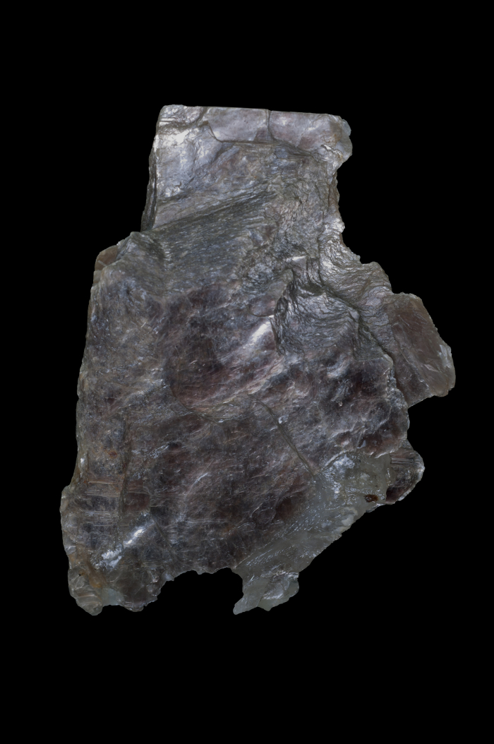 Figure 8