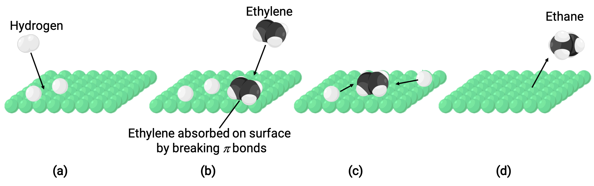 Image2