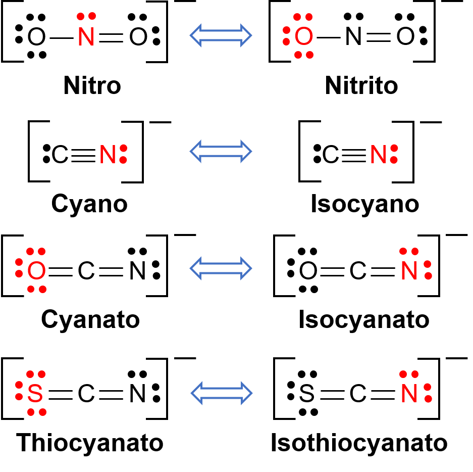Lewis structures diagram showing nitrogen monoxide resonance forms with lone pairs and charges.