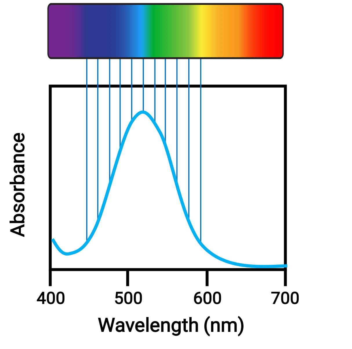 Absorption spectrum diagram showing light wavelength distribution in spectroscopic analysis.