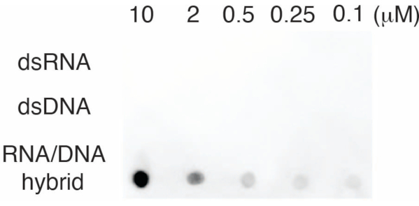 figure-results-3611