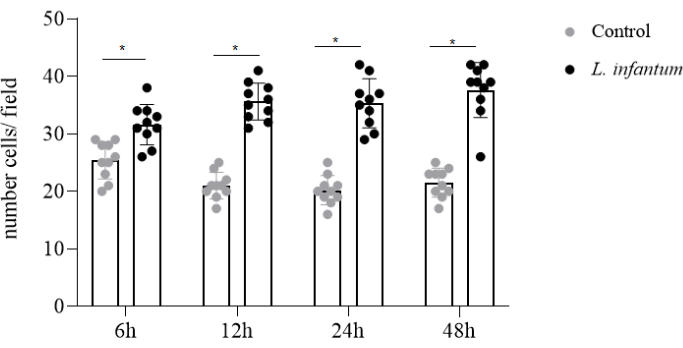 figure-results-3755
