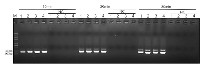 figure-results-5524