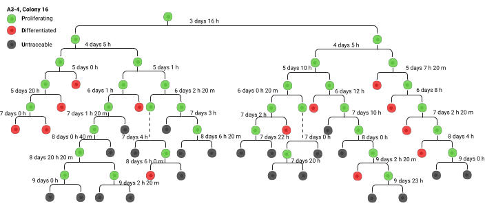 figure-results-7085
